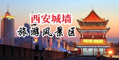 操护士逼中国陕西-西安城墙旅游风景区