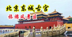 日韩插穴视频中国北京-东城古宫旅游风景区